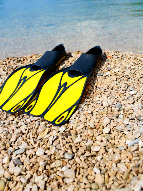 Paar flippers op strand - Foto, afbeelding