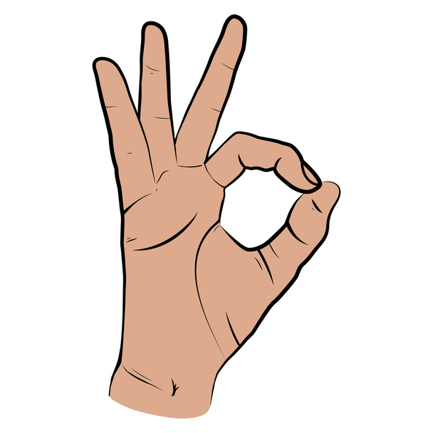 Mano humana, vista OK, dedos mostrando símbolo de un gran estado. Vector
 - Vector, imagen