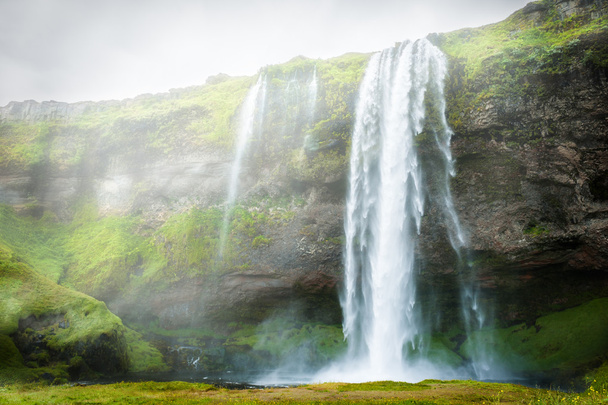 Seljalandsfoss waterfall in Iceland. - 写真・画像
