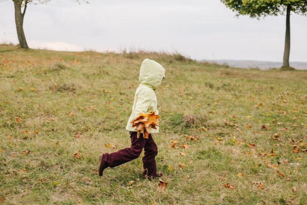 Κοριτσάκι σε το φθινόπωρο park.with ένα μπουκέτο από φύλλα. - Φωτογραφία, εικόνα
