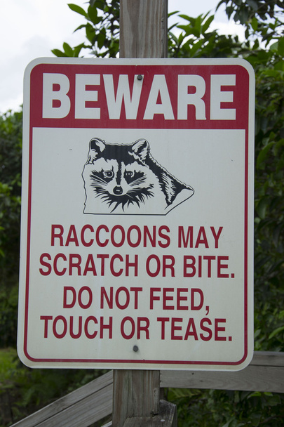 cuidado con el signo de los mapaches
 - Foto, imagen
