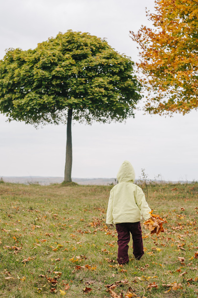 Little girl in the autumn park.with a bouquet of leaves. - Foto, afbeelding