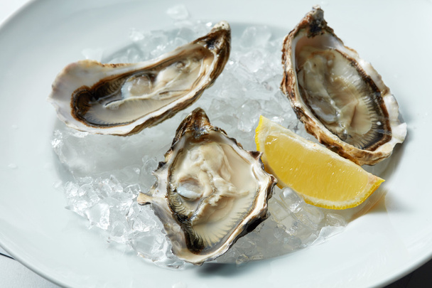 opened oyster on dish - Photo, Image