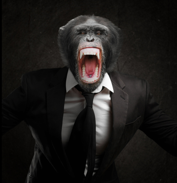 Mono frustrado en traje de negocios
 - Foto, imagen