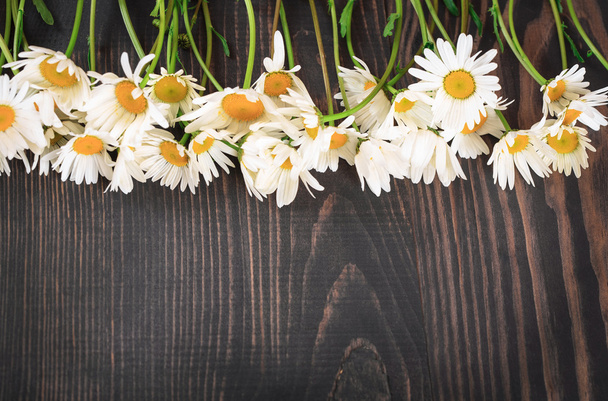 Daisy chamomile flowers on wooden background. - Photo, Image