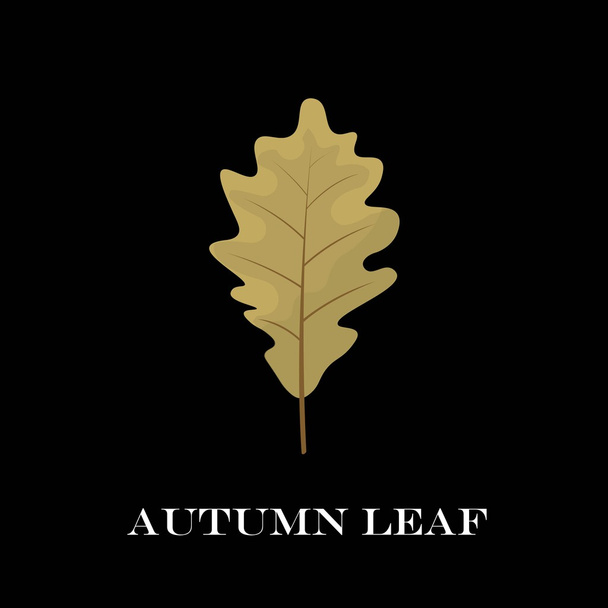 autumn leaves isolated on black background. simple cartoon flat style, vector illustration. - Vector, Image