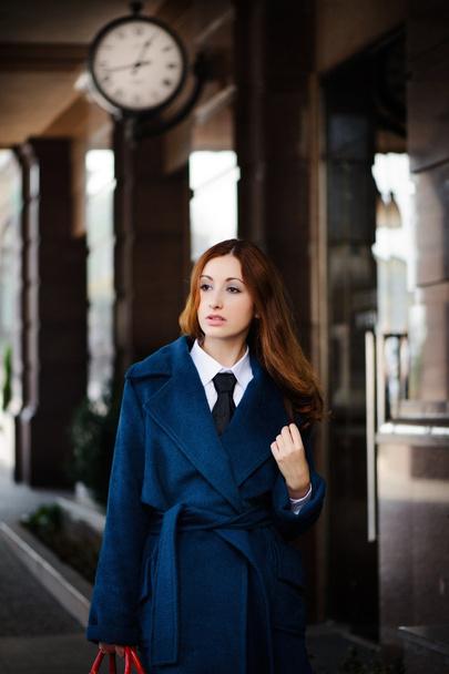 business woman going to work - 写真・画像