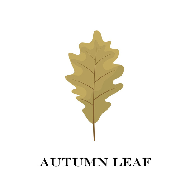 autumn leaves isolated on white background. simple cartoon flat style, vector illustration. - Vector, Image