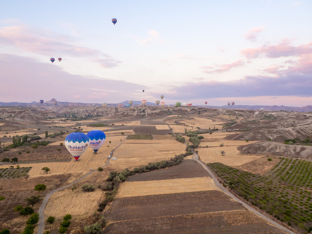 Group of hot air balloons. - Foto, afbeelding