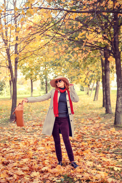Woman in autumn park. - Fotoğraf, Görsel