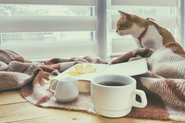 Cup of coffee, book and red-white cat - Photo, Image