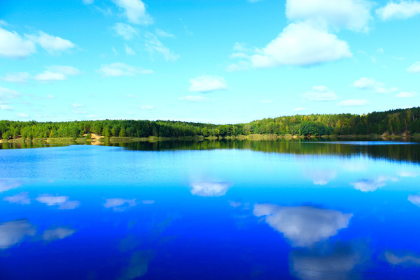 Hermoso lago en el bosque - Foto, Imagen
