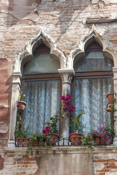 Venice, window - Photo, Image