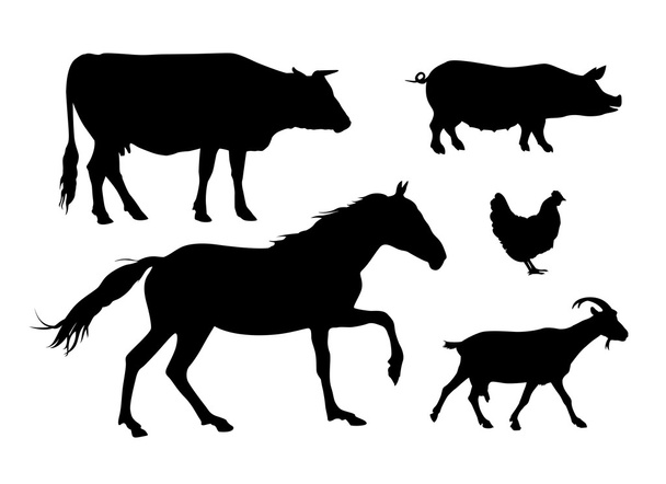 Silhouettes d'animaux de ferme : vache, cheval, porc, poule, chèvre
 - Vecteur, image