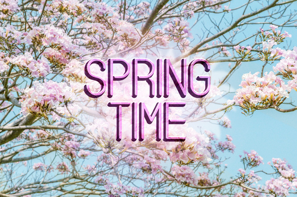 Spring time message with a beautiful pink flowers flowery background. - Φωτογραφία, εικόνα