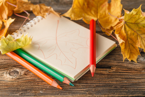 Writing-books, multi-coloured pencils in a cup and autumn leaves - Valokuva, kuva