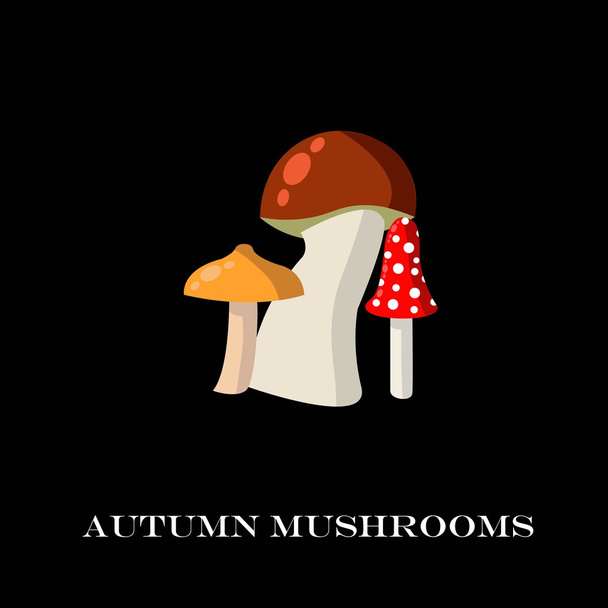 Mushrooms on the black background. vector illustration. - Vector, Image
