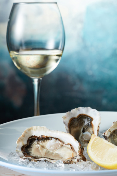 fresh oysters and a glass of wine - Photo, image