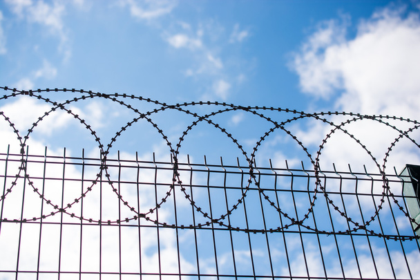 A kerítésre Tekercselt erősített szúród huzal - Fotó, kép