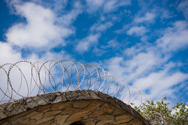 A kerítésre Tekercselt erősített szúród huzal - Fotó, kép