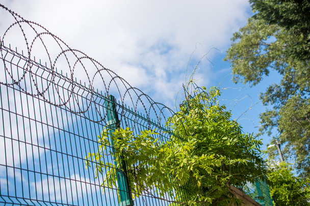 Filo di rasoio arrotolato sopra una recinzione
 - Foto, immagini