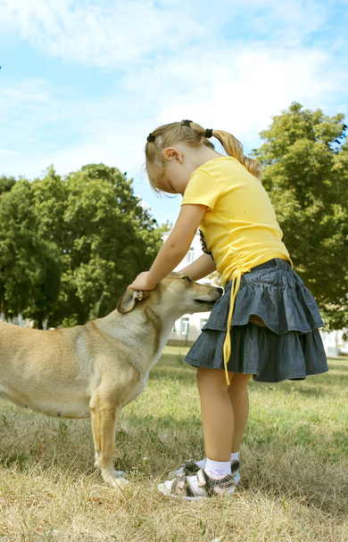 A girl pets a doggy - Photo, Image