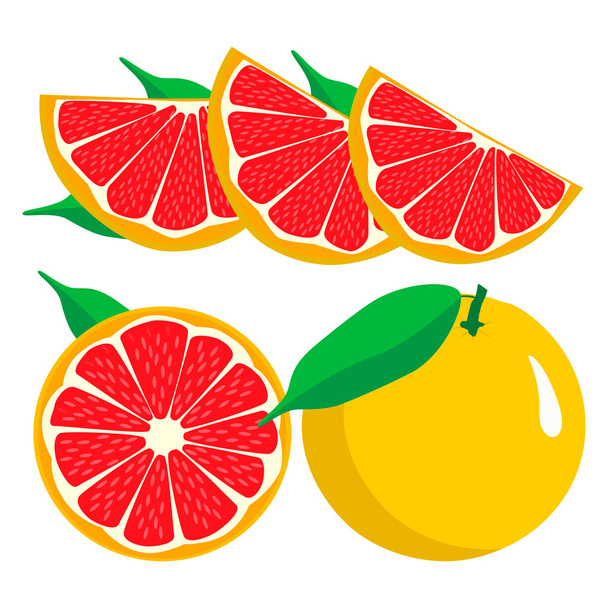 Set Früchte Grapefruit. - Vektor, Bild