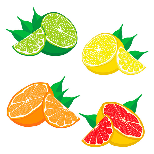 zestaw owoce pomarańczowy grejpfrutowy cytrynowy. - Wektor, obraz