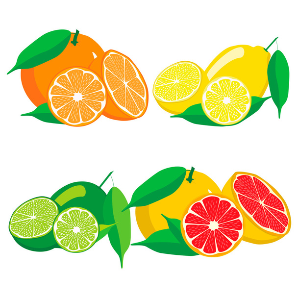 Aseta hedelmät Appelsiini greippi sitruuna sitruuna lime
. - Vektori, kuva