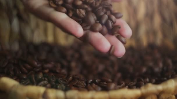 Vrouw oppakken in de palm van een handvol koffiebonen - Video