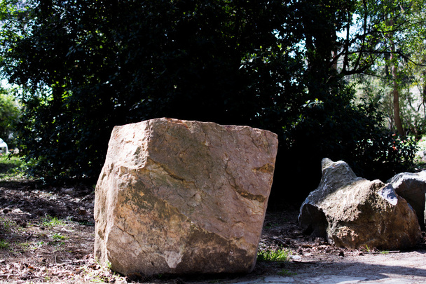 μεγάλο βράχο στον κήπο - Φωτογραφία, εικόνα