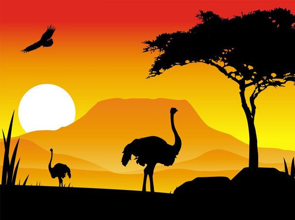 silhouet illustratie van een struisvogel met achtergrond landschap - Vector, afbeelding