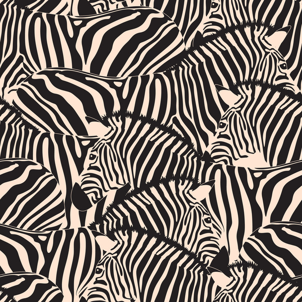 Zebra zökkenőmentes minta. - Vektor, kép