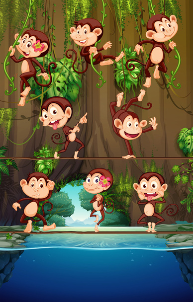 Apinat kiipeävät viiniköynnökselle
 - Vektori, kuva