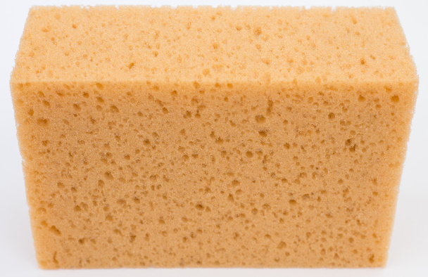 Close up van een spons - Foto, afbeelding