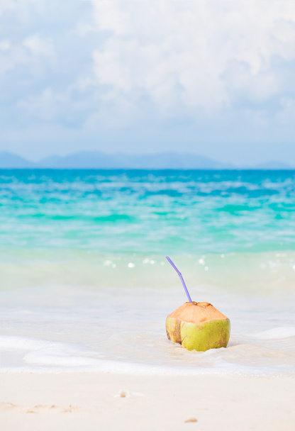 fresh coconut cocktail on tropical beach - 写真・画像