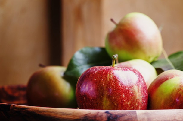 Fresh harvest of autumn sweet apples - 写真・画像