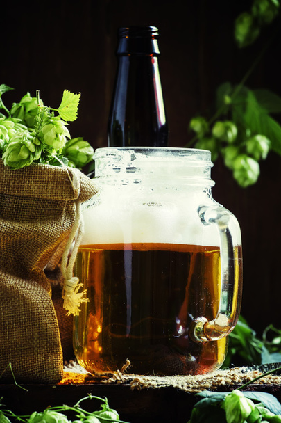 Jar of beer and fresh hops - Zdjęcie, obraz