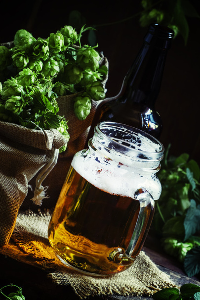 Jar of beer and fresh hops - Fotografie, Obrázek