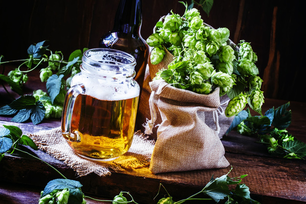 Jar of beer and fresh hops - Фото, зображення