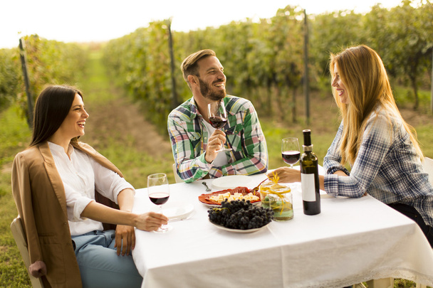 People enjoy dinner in vineyard - Фото, зображення