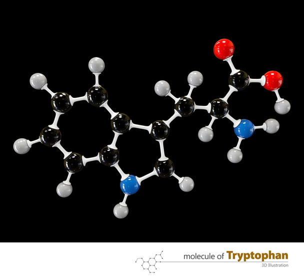Illustration of Tryptophan Molecule isolated black backgroun - Photo, Image