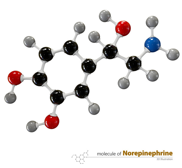 Illustrazione di Norepinefrina Molecola isolato backgroun bianco
 - Foto, immagini