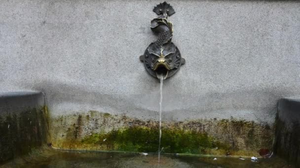 Джерело води для Ніколаус Коперника пам'ятник у рідному місті в місті Торунь - Кадри, відео