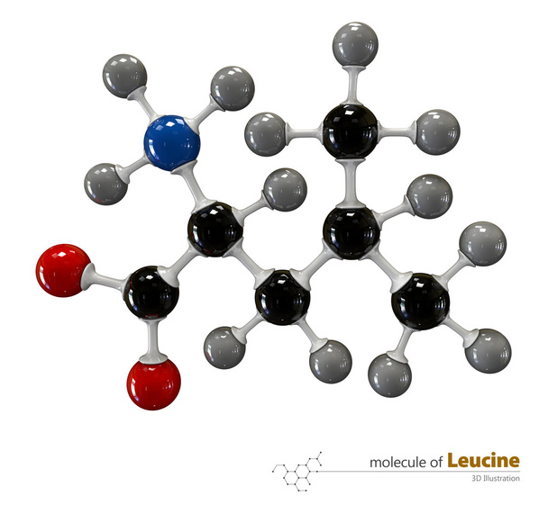 Illustration of Leucine Molecule isolated white background - Photo, Image