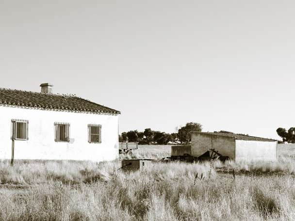 Деревенский дом в летнее время в черно-белом
 - Фото, изображение
