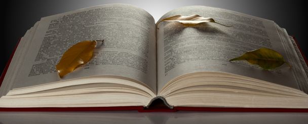 Offenes Buch von hinten beleuchtet - Foto, Bild