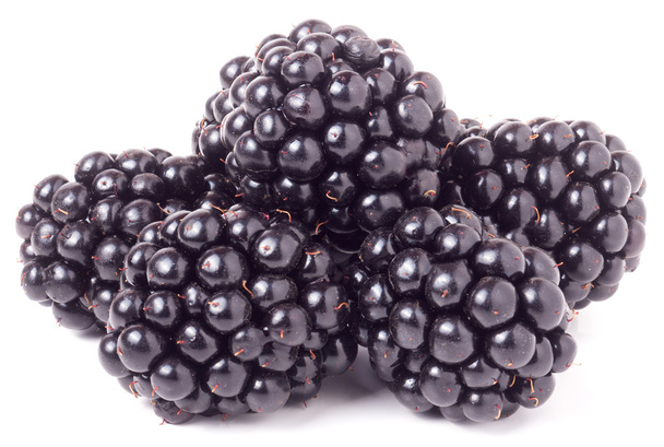 hromadu blackberry izolovaných na bílém pozadí - Fotografie, Obrázek
