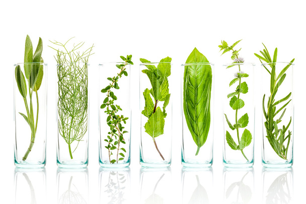 Close Up bottles of fresh aromatic herbs . Sage, rosemary, sweet - Фото, изображение