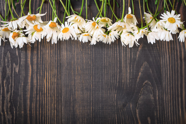 Flores de manzanilla margarita sobre fondo de madera
. - Foto, imagen